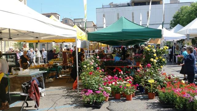 Risultati immagini per FIERA PRIMAVERILE BUSTO GAROLFO