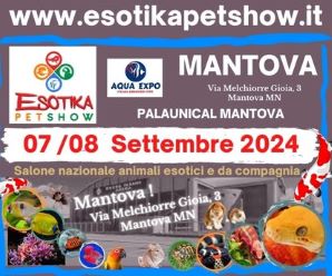 esotika mantova