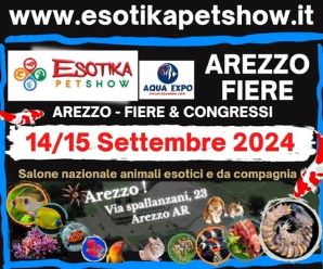 esotika arezzo 