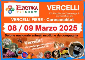 esotika vercelli