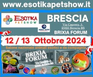 Esotika brescia