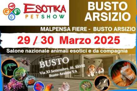 Esotica Busto arsizio