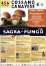 Sagra Del Fungo, 21ima Edizione - 2024 - Cossano Canavese (TO)