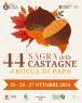 Sagra delle Castagne, 44ima Festa Della Castagna A Rocca Di Papa - Rocca Di Papa (RM)