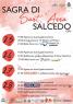 Sagra di Sant'Anna a Salcedo, Edizione 2024 - Salcedo (VI)