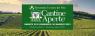 Cantine Aperte in Tutta Italia, In Oltre 800 Cantine -  ()