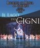 Il Lago dei Cigni, Con La Compagnia Di Danza Classica Del Balletto Di Mosca La Classique - Bologna (BO)