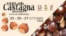 Sagra Della Castagna, In Autunno Arriva La Festa Delle Castagne A Cervinara - Cervinara (AV)