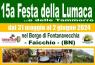 Festa Della Lumaca, E Delle Tammorre - 15^ Edizione - Faicchio (BN)