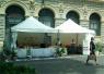 L'appennino In Piazza Minghetti, Un'intera Settimana Per Conoscere Luoghi, Tradizioni E Sapori Dell'italia - Bologna (BO)
