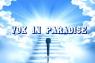 Vox In Paradise, Spettacolo Musicale - Napoli (NA)