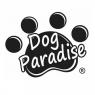 Centro Dog Paradise Di Palermo, Punto Di Ritrovo Per Cani E Proprietari Con Attività Ludiche, Sportive E Di Relax - Palermo (PA)