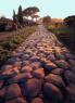 Appia Antica Al Chiaro Di Luna, Trekking Notturno Dal Tramonto Al Plenilunio - Roma (RM)