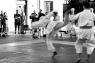 Stage Nazionale Di Karate Shotokai, Diretto Dal Maestro Atsuo Hiruma - Montemurlo (PO)