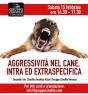 Gruppo Cinofilo Verona Romano Sparapan, Corso Di Relazione Con Il Cane - Verona (VR)