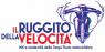 Visita Guidata Di Bcsicilia Alla Mostra Il Ruggito Della Velocità, Partenza Da Palermo - Palermo (PA)