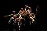 Danze Percorso Laboratoriale Di Danza E Creatività, Danze è Indirizzato Ad Adulti Di Tutte Le Età - Roma (RM)