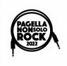 Pagella Non Solo Rock A Torino, 32° Contest Musicale - Torino (TO)