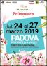 Benvenuta Primavera A Padova, 5a Edizione - 2019 - Padova (PD)