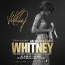 An Evening With Whitney, The Whitney Houston Hologram Tour - Milano (MI)