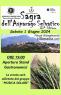 Sagra Dell'asparago Selvatico A Villamaina, 3a Edizione - 2024 - Villamaina (AV)