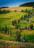 Nel Mare Delle Crete Della Val D'orcia, Evento D'incredibile Bellezza Nella Stagione Più Bella Dell'anno - Pienza (SI)