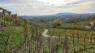 Le Colline Di Valdobbiadene: Passeggiata Tra Vigneti E Antichi Casolari, Escursione Guidata - Valdobbiadene (TV)