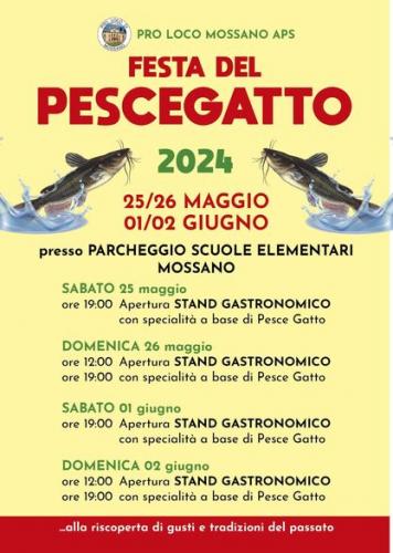 Festa Del Pescegatto - Barbarano Mossano