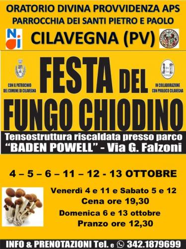 Festa Del Fungo Chiodino A Cilavegna - Cilavegna