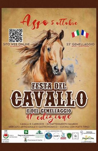 Festa Del Cavallo Ad Asso - Asso