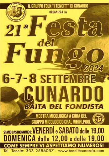 Festa Del Fungo A Cunardo - Cunardo