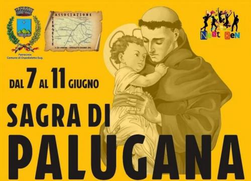 Sagra Di Palugana  - Ospedaletto Euganeo