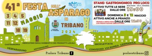 Mostra Provinciale Dell'asparago - Tribano