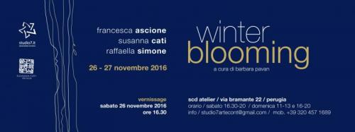 Winterblooming - Perugia