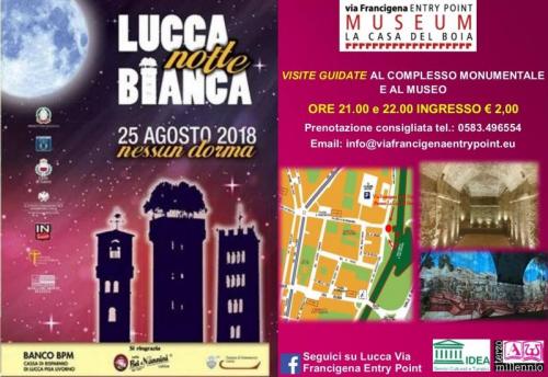 Notte Bianca Al Museo A Lucca - Lucca