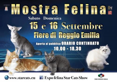 Star Cats A Reggio Emilia - Reggio Emilia
