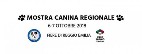 Mostra Canina Regionale A Reggio Emilia - Reggio Emilia