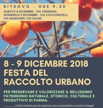 Festa Del Raccolto Urbano A Parma - Parma