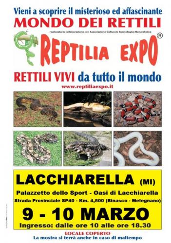 Reptilia Expo - L'affascinante Mondo Dei Rettili A Lacchiarella - Lacchiarella