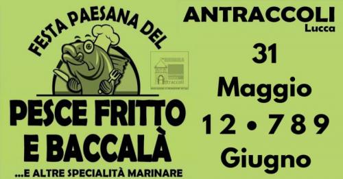 La Sagra Del Pesce Fritto E Del Baccalà A Antraccoli - Lucca