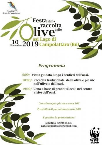 Festa Della Raccolta Delle Olive A Campolattaro - Campolattaro
