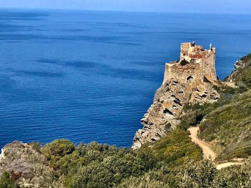 Isola Di Gorgona - Livorno