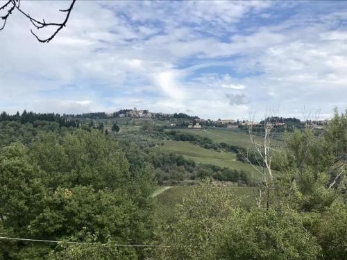 Panzano La Conca D'oro Del Chianti - Greve In Chianti