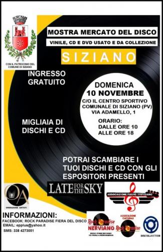 Mostra Mercato Del Disco A Siziano - Siziano