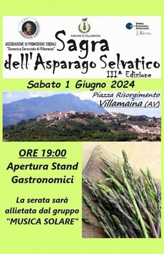 Sagra Dell'asparago Selvatico A Villamaina - Villamaina