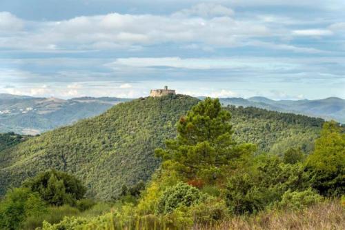 I Tesori Della Valle Del Pavone - Castelnuovo Di Val Di Cecina