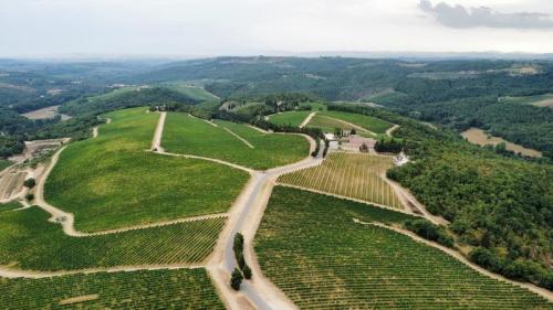 San Sano E Castello Di Ama - Gaiole In Chianti