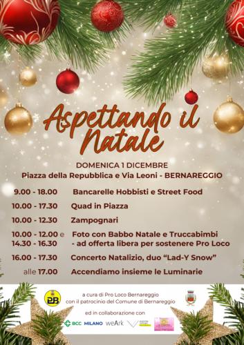 Aspettando Il Natale - Bernareggio