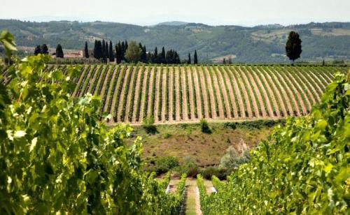 Tour Nel Chianti Classico - San Casciano In Val Di Pesa