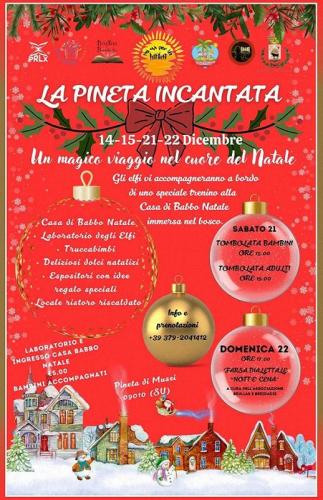 Natale A Musei - Musei